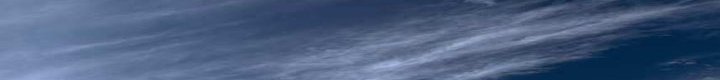 Blue Moose Webworks: Web design, SEO services & more